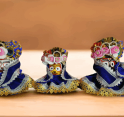 Nilambu Premium Dress Set - All Sizes Available