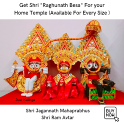 RaghuNath Besha Of shri jagannath MahprAbhu