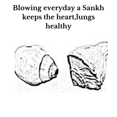 buy sankha from justkalinga.com