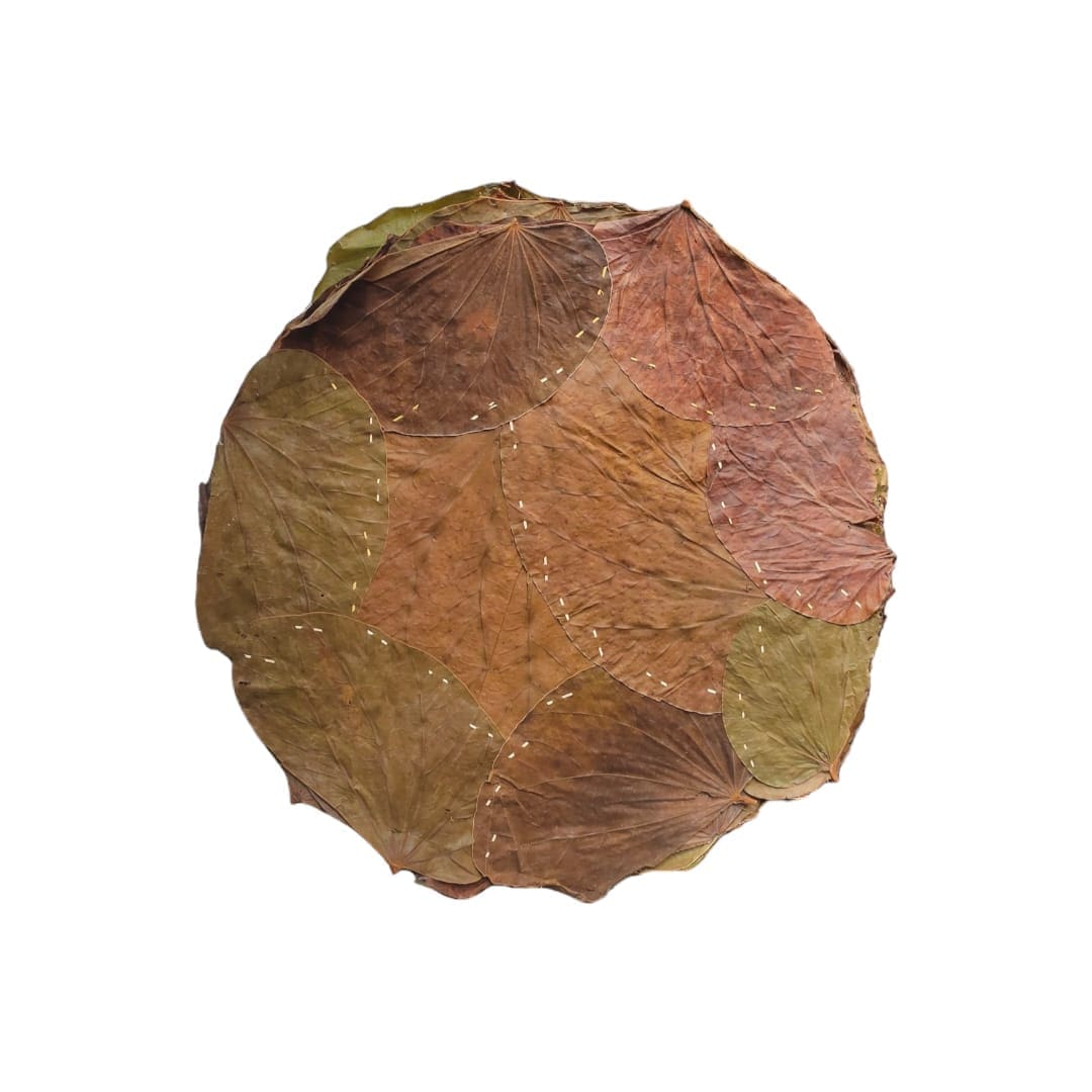 Natural Sal Leaf Plates Eco-Friendly Plates Khali