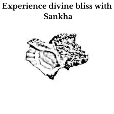 buy sankha from justkalinga.com