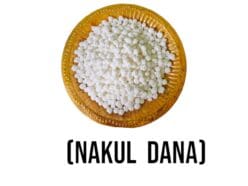 Nakul Dana sweets for offering as Prasad or gifting. Includes Nirmalya Mahaprasadam and Sanjua.